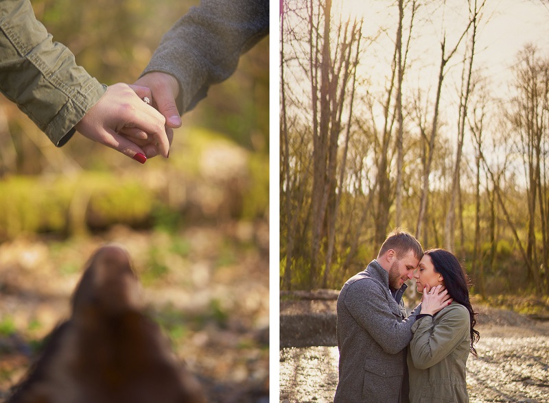 dog looking up at couple holding hands, fall engagement photo session