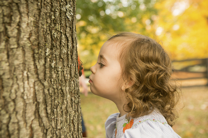 little girl watching bug crawl on tree | ©Mandy Whitley Photography