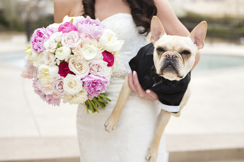 bride and French Bulldog, ©epagaFoto | Kansas City, MO dog-friendly wedding