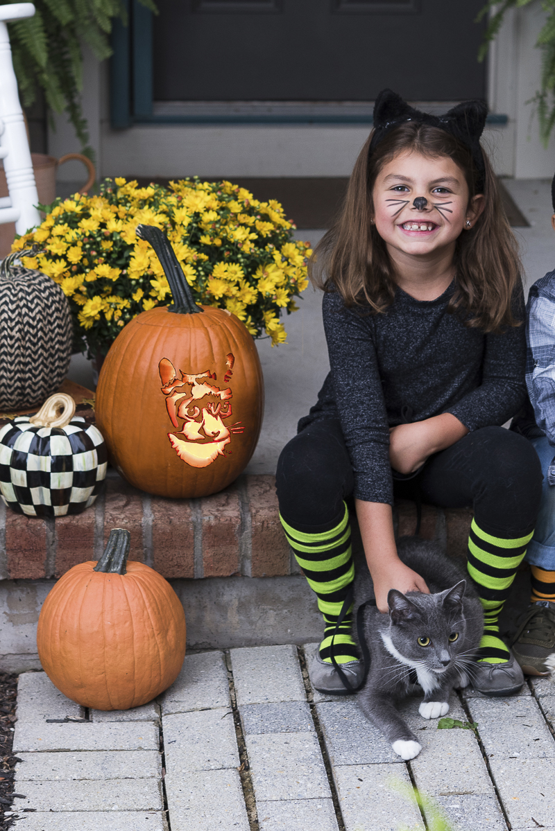 Howl-O-Ween, cute little girl and her cat | ©Alice G Patterson Photography | CNY lifestyle photography