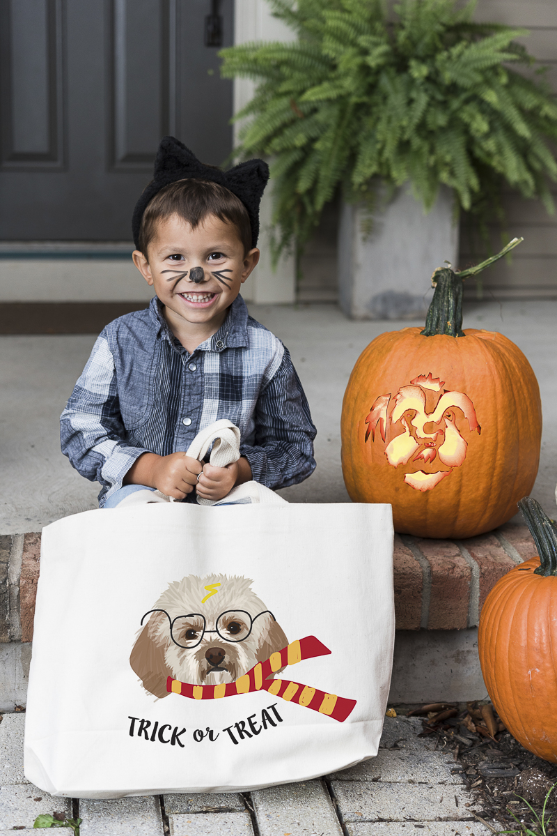 little boy with cat ears and whiskers holding adorable trick or treat bag from Noble Friends, ©Alice G Patterson Photography | Central New York photographer