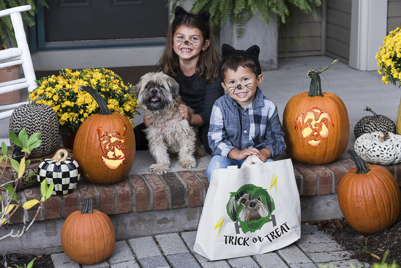 Howl-O-Ween, custom pumpkin stencils and treat bags for pet lovers, ©Alice G Patterson Photography | CNY lifestyle photography for small businesses