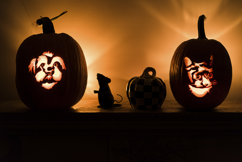 Howl-O-Ween pumpkin stencils from Noble Friends