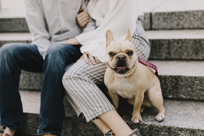 fawn Frenchie, dog friendly engagement session | ©Alyssa Barletter Photography