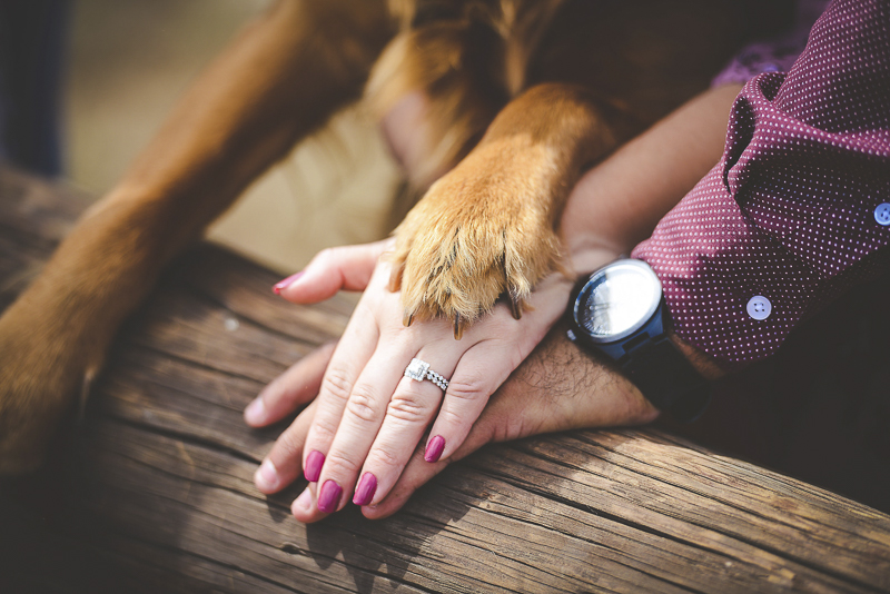 hands and paws, engagement photos with dog | ©CR Photography | Dog-friendly engagement photos