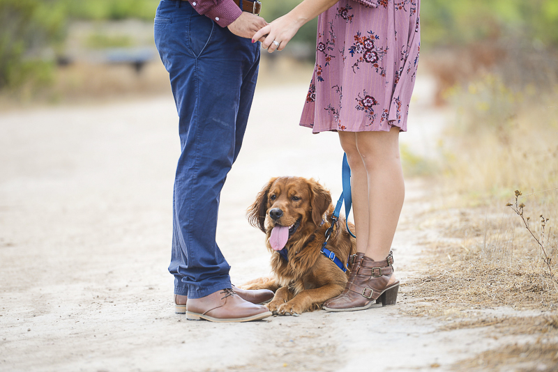couple holding hands with dog between them, ©CR Photography | Santee, CA dog-friendly engagement pictures
