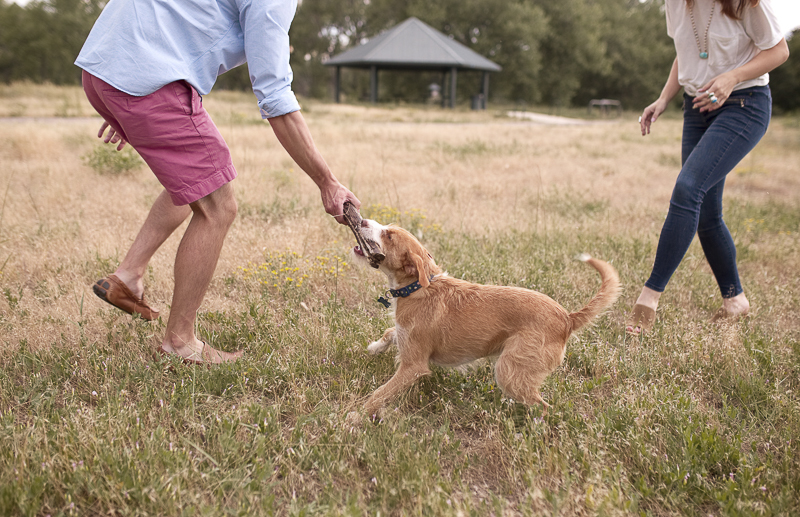 man playing tug with small dog, | Colorado dog-friendly engagement session, ©Good Morrow Photography