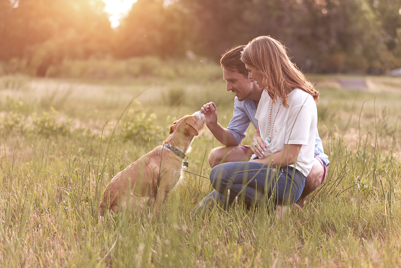 engagement pictures with dog, Colorado dog-friendly engagement photos, ©Good Morrow Photography