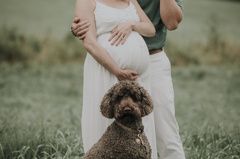 Happy Tails: Bruiser the Labradoodle (Dog-friendly Maternity Session