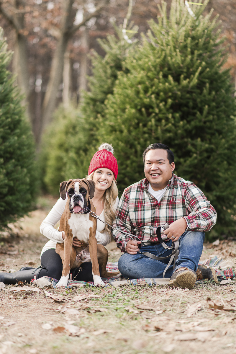 © Britney Clause Photography | outdoor family holiday photos with a dog, dog-friendly holiday photography session in a Christmas Tree farm