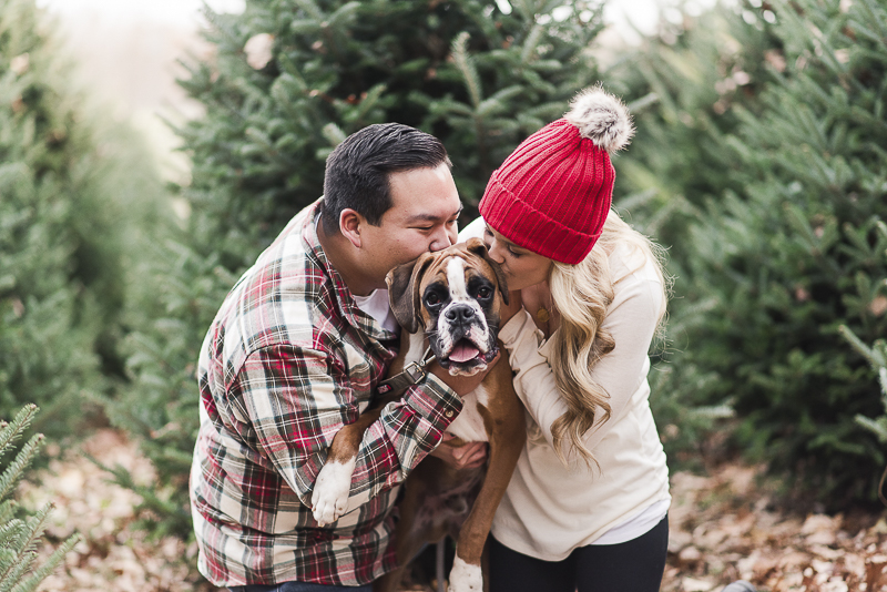 couple kissing their Boxer, © Britney Clause Photography 