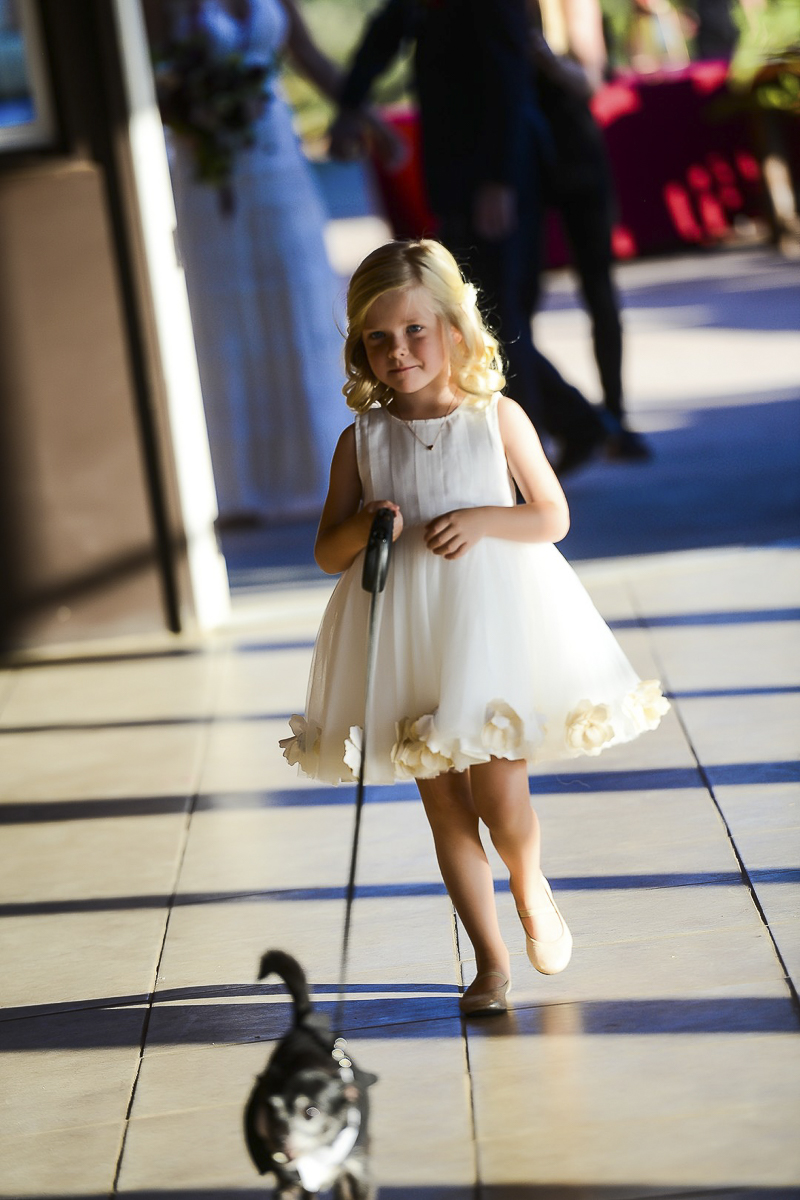 cute flower girl walking Chihuahua down the aisle, ©CR Photography, dog-friendly wedding