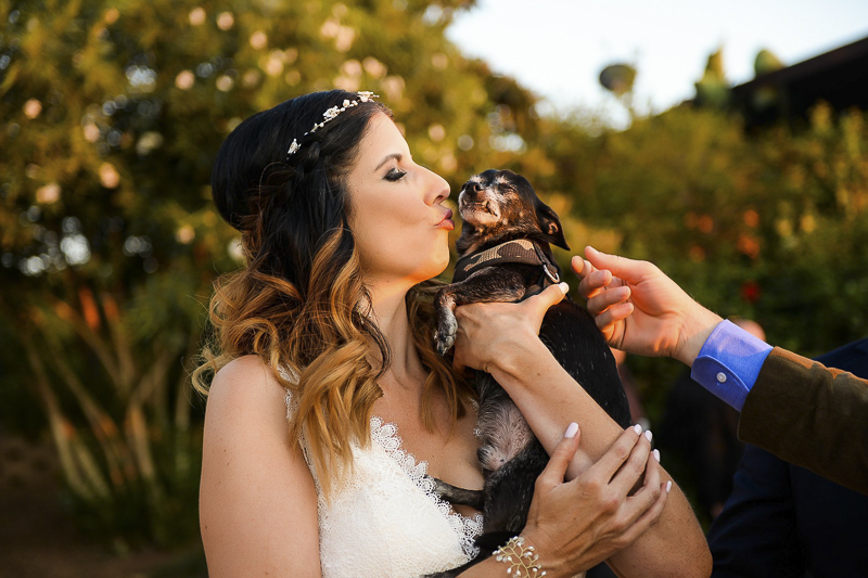 bride kissing her small dog at her wedding | ©CR Photography, dog-friendly wedding