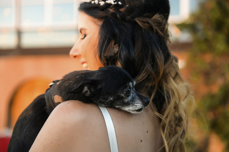 bride and her dog, love between dogs and people | ©CR Photography, dog-friendly wedding