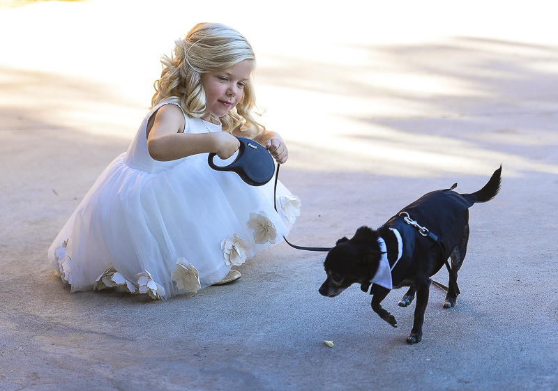 adorable young blond girl in white dress and dog ring bearer | ©CR Photography, dog-friendly wedding