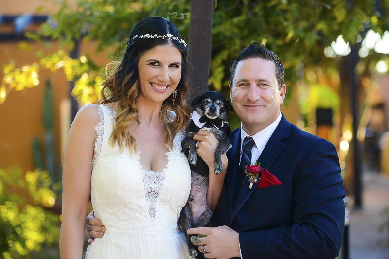 groom, bride holding small black Chi, ©CR Photography | wedding dog