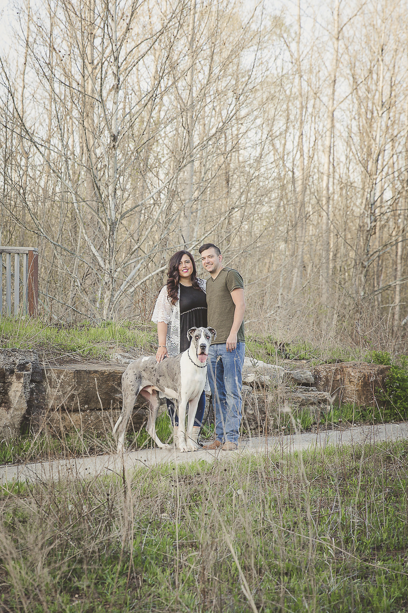 couple and their Great Dane, ©Irish Eyes Photography dog friendly engagement photos, Wentzville, MO