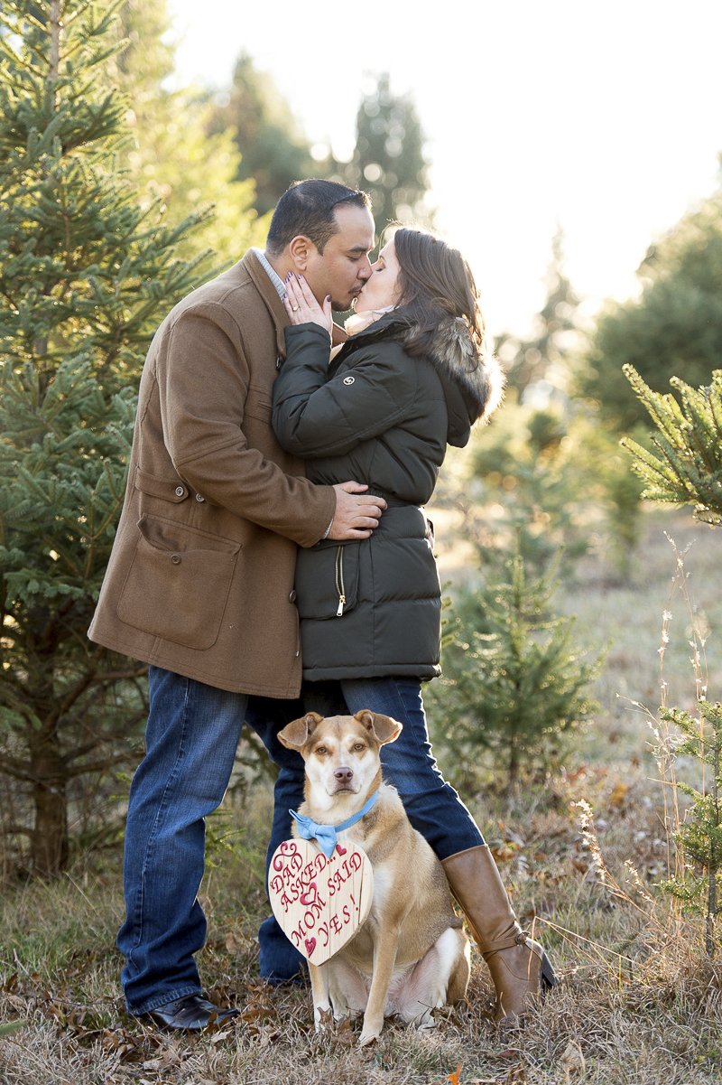 Mixed breed wearing save the date sign, dog-friendly engagement photos, New Milford, CT, ©Julia Jane Studios