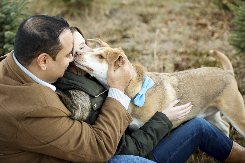 man's best friend, bond between dogs and humans, ©Julia Jane Studios, CT dog friendly winter engagement photos
