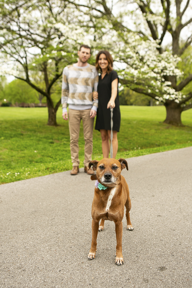 Springtime family portraits with a dog, Nashville, TN, ©Mandy Whitley Photography