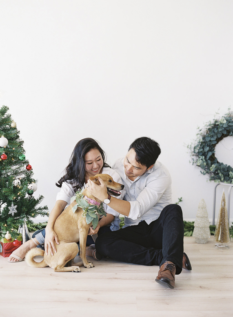 Bay Area studio dog photography, pet-friendly holiday pictures ©Stephanie Gan Photography 