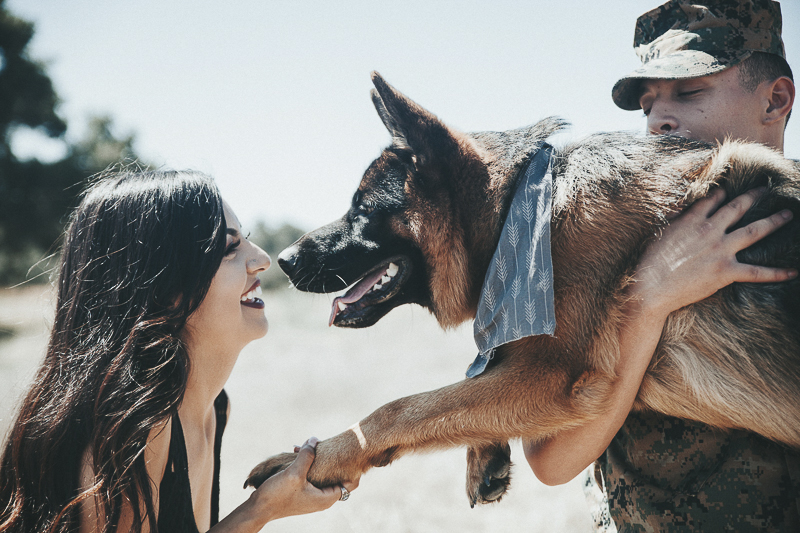 woman shaking GSD's paw while Marine holds him, ©Wanderlust Photography| Camp Pendleton dog-friendly family portraits, 