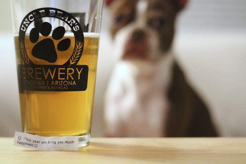 Glass of beer and Boston Terrier, ©A Dog Walks Into A Bar | a blog about dogs and adult beverages