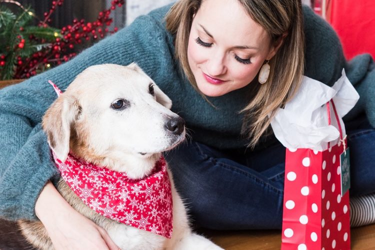 ©Alice G Patterson Photography | pet and creative business portraits, Annie Taylor Design