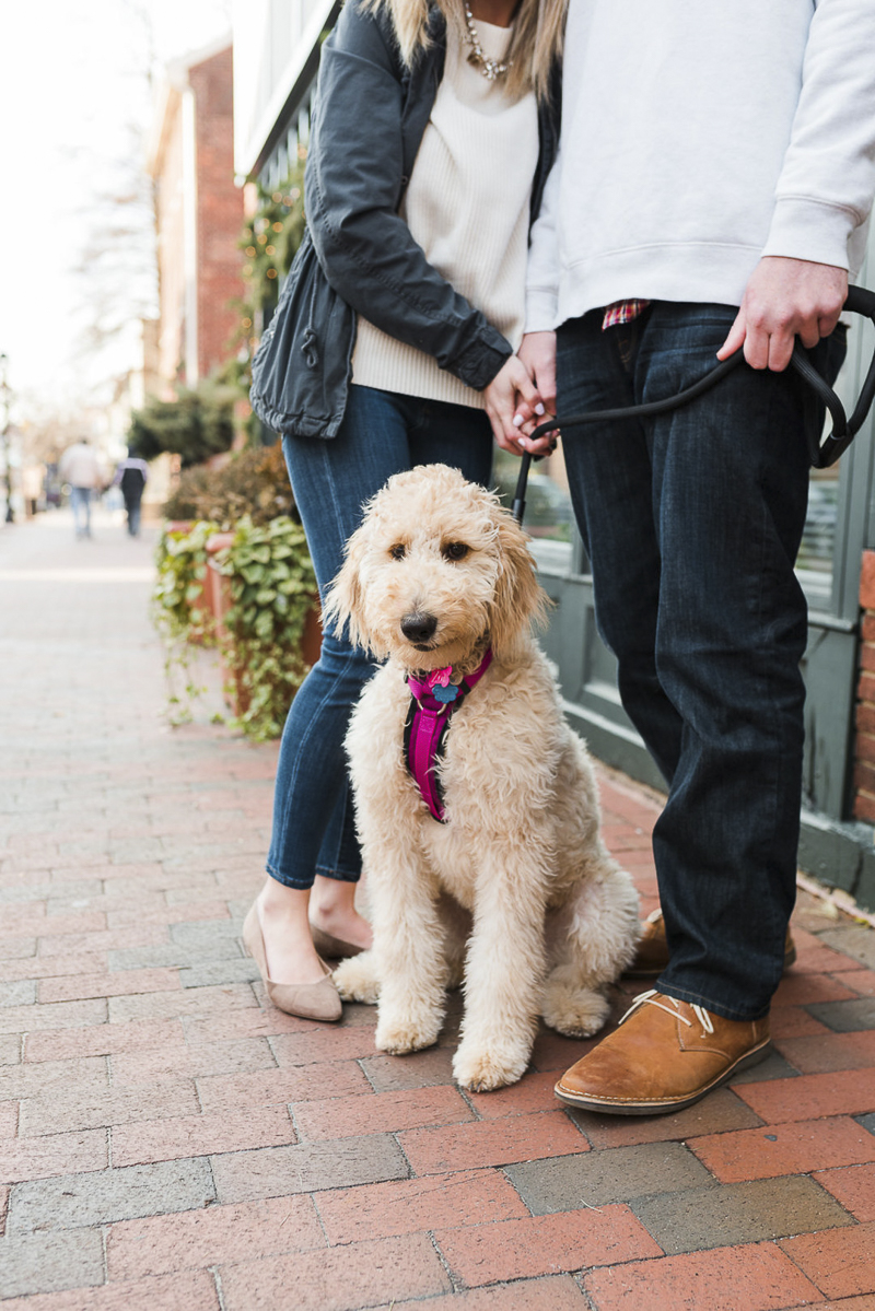 ©Ashton Kelly Photography | engagement session with a dog, Annapolis, MD