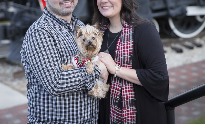 Holiday family portraits with a Yorkie