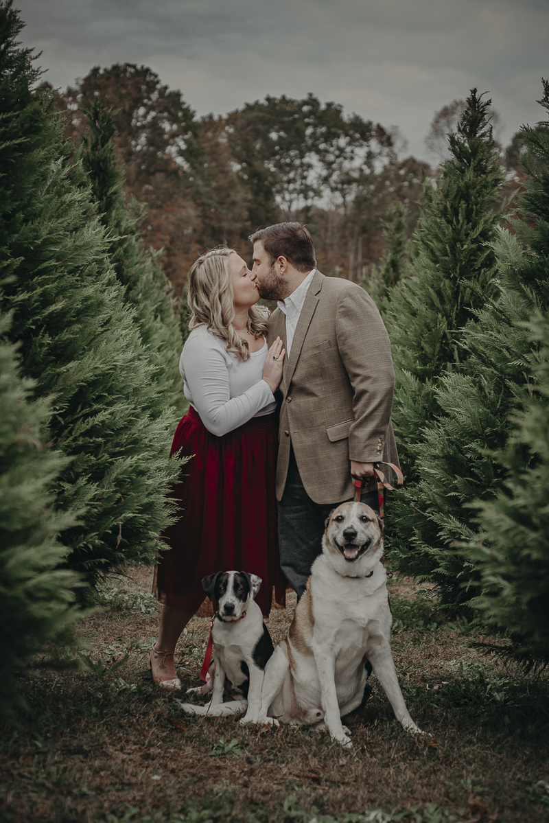 ©Nathalia Frykman Photography | dog-friendly holiday family photo ideas