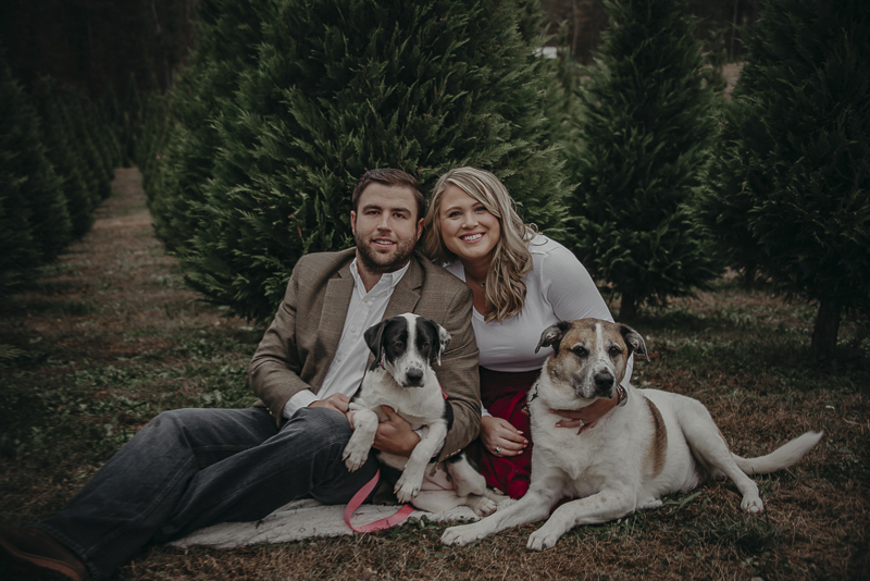 Family Photo Shoot with Dogs at a Christmas Tree Farm, ©Nathalia Frykman Photography
