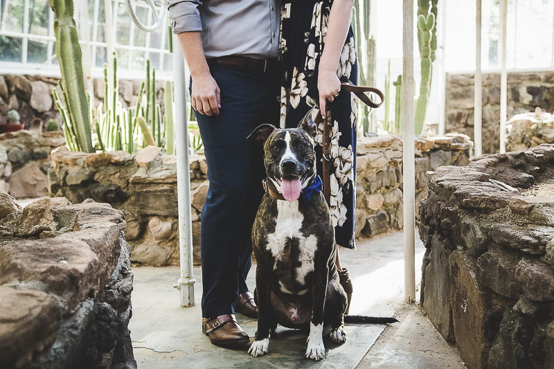 Poppyseed Photography | dog wearing bow tie, engagement pictures with a dog, dog and family photography