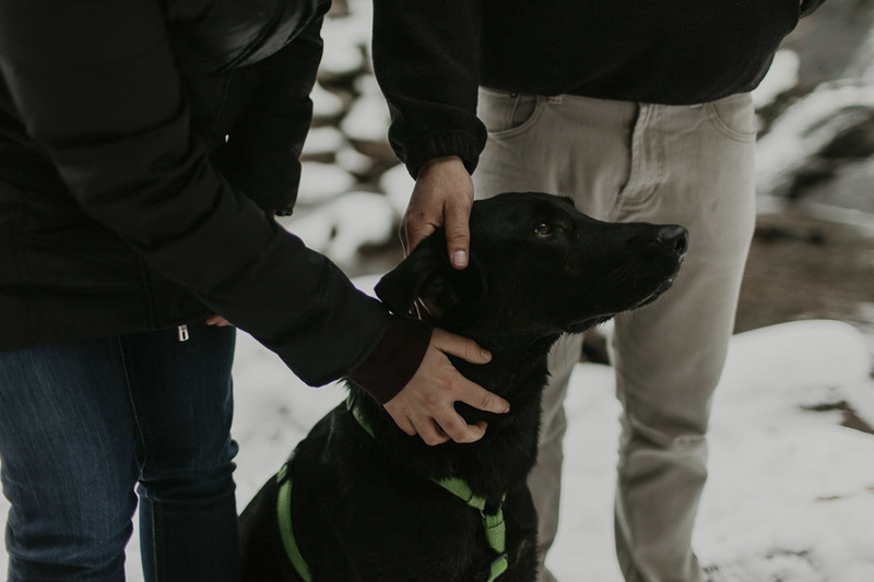 black lab-Shepherd mix, couple petting their dog in winter | ©Belle La Vie Images winter engagement photos with a dog