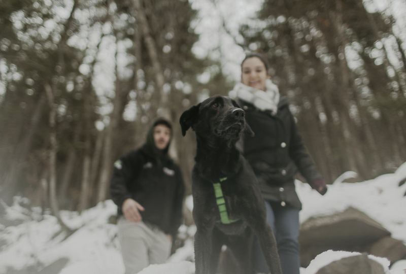 snowy engagement photos with a dog, black lab mix | ©Belle La Vie Images