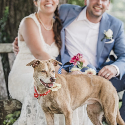 Best (Wedding) Dog:  Sawyer the Feist Terrier Mix