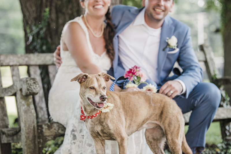 Feist Terrier mix, dog flower girl, bride, groom and their dog | ©Landrum Photography 