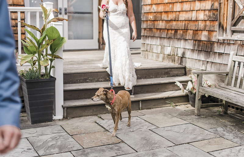 bride and her Feist Terrier mix dog | ©Landrum Photography | dog-friendly wedding