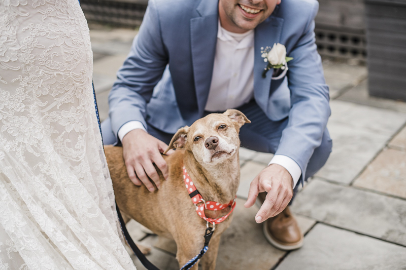 cute senior dog and her favorite couple (bride and groom) ©Landrum Photography | dog-friendly wedding