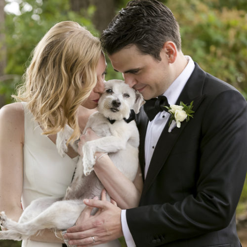 Best (Wedding) Dog: Cooper the Little White Dog