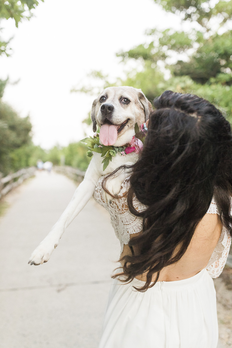 woman wearing white dress holding up dog in collar made of flowers | ©Kelly Sea Images | NJ lifestyle dog and portrait photography
