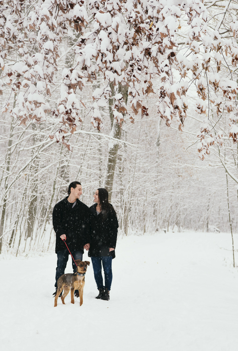 couple and their puppy standing near treeline on snowy day, ©Madison Robertson Photography | Kingston, ON, dog-friendly winter family photos with puppy