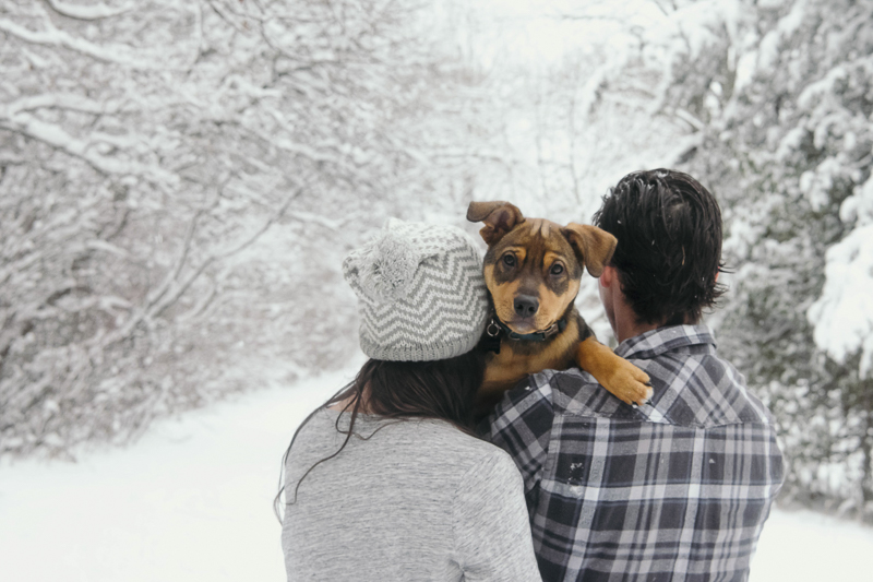 cute puppy looking at photographer while over human's shoulders, couple on a snowy day ©Madison Robertson Photography |  winter puppy photos