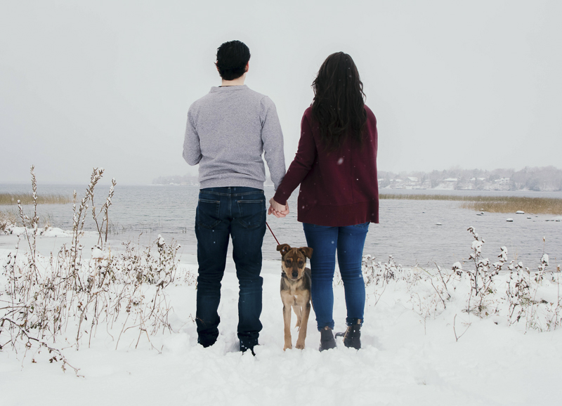 couple standing in snow looking over body of water, dog looking back at photographer | ©Madison Robertson Photography | Kingston, ON, winter family photos with puppy