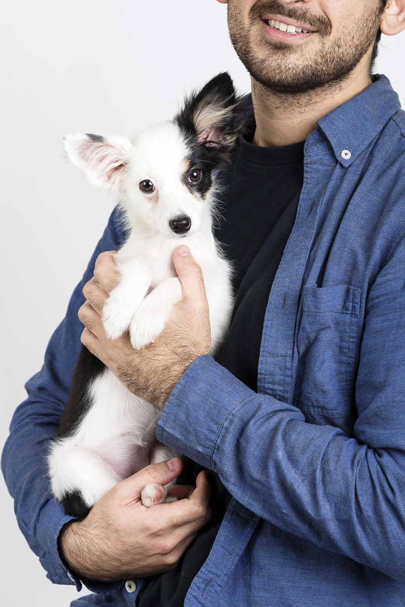cute mini Australian Shepherd puppy, ©Alice G Patterson Photography | Syracuse lifestyle and studio photography