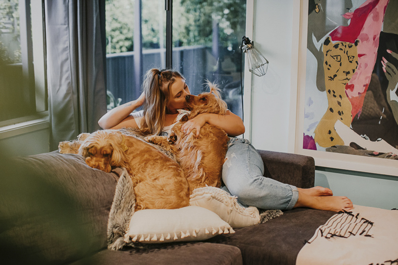 woman and her cocker spaniels on the sofa, ©Dogfolk lifestyle pet photography