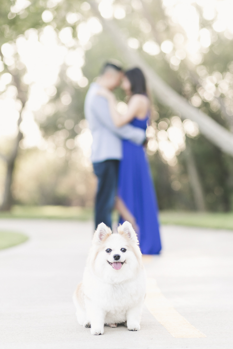 dog-friendly engagement photos with small dog, dog sitting on road with couple embracing behind him, Based in Southern California, ©Frances Tang Photography