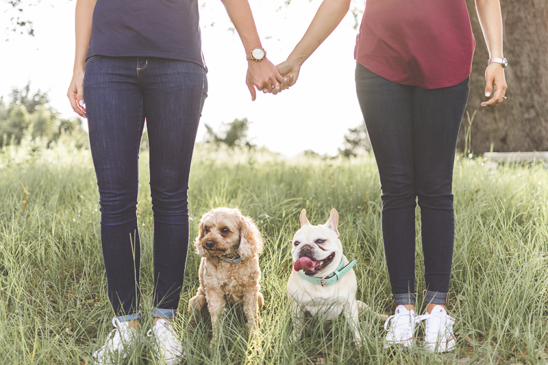 women holding hands with Frenchie and Cavapoo between them, ©Kimberly Santana Photography | Central Florida engagement photos with dogs