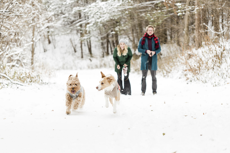 dogs running in the snow, MN snowy pet portraits, ©Lauren Engfer Photography