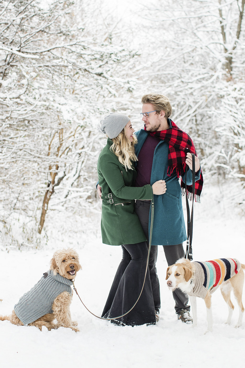 ©Lauren Engfer Photography, winter family portrait ideas, dogs and their people in the snow